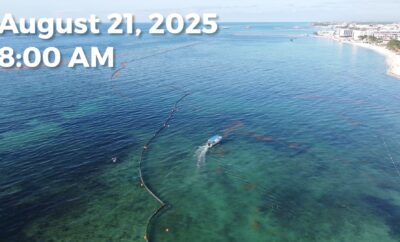 Daily Sargassum Sargasso Seaweed Report at Playa del Carmen, Mexico August 21, 2025