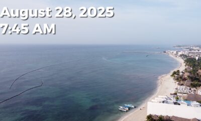 Daily Sargassum Sargasso Seaweed Report at Playa del Carmen, Mexico August 28, 2025