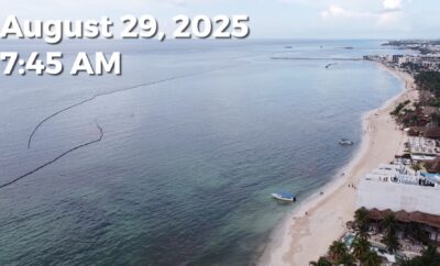 Daily Sargassum Sargasso Seaweed Report at Playa del Carmen, Mexico August 29, 2025