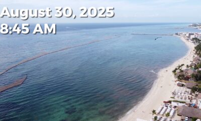 Daily Sargassum Sargasso Seaweed Report at Playa del Carmen, Mexico August 30, 2025