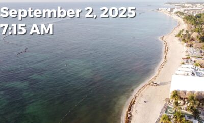 Daily Sargassum Sargasso Seaweed Report at Playa del Carmen, Mexico September 2, 2025