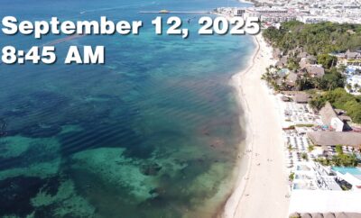 Daily Sargassum Sargasso Seaweed Report at Playa del Carmen, Mexico September 12, 2025