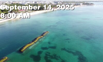 Daily Sargassum Sargasso Seaweed Report at Playa del Carmen, Mexico September 14, 2025