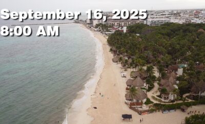 Daily Sargassum Sargasso Seaweed Report at Playa del Carmen, Mexico September 16, 2025