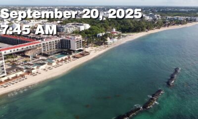 Daily Sargassum Sargasso Seaweed Report at Playa del Carmen, Mexico September 20, 2025