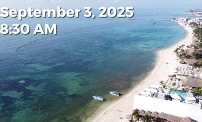 Daily Sargassum Sargasso Seaweed Report at Playa del Carmen, Mexico September 3, 2025