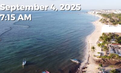 Daily Sargassum Sargasso Seaweed Report at Playa del Carmen, Mexico September 4, 2025