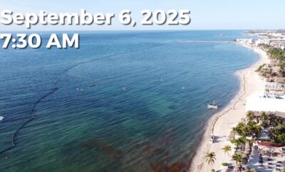 Daily Sargassum Sargasso Seaweed Report at Playa del Carmen, Mexico September 6, 2025
