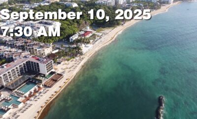 Daily Sargassum Sargasso Seaweed Report at Playa del Carmen, Mexico September 10, 2025