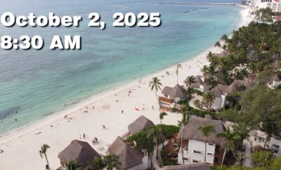 Daily Sargassum Sargasso Seaweed Report at Playa del Carmen, Mexico October 2, 2025