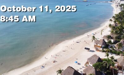 Daily Sargassum Sargasso Seaweed Report at Playa del Carmen, Mexico October 11, 2025