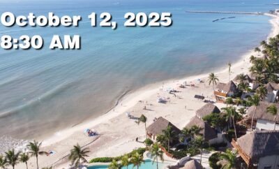 Daily Sargassum Sargasso Seaweed Report at Playa del Carmen, Mexico October 12, 2025