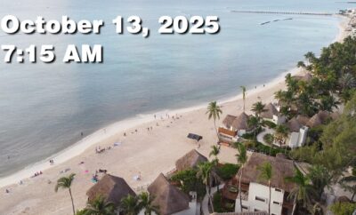 Daily Sargassum Sargasso Seaweed Report at Playa del Carmen, Mexico October 13, 2025