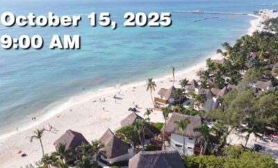 Daily Sargassum Sargasso Seaweed Report at Playa del Carmen, Mexico October 15, 2025