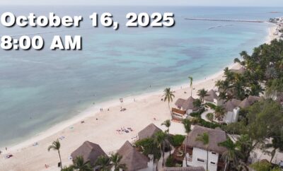 Daily Sargassum Sargasso Seaweed Report at Playa del Carmen, Mexico October 16, 2025