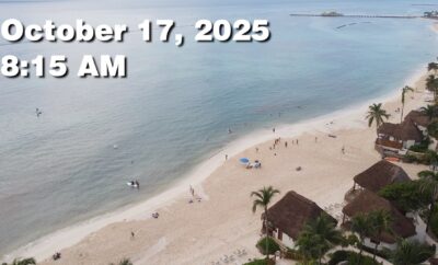 Daily Sargassum Sargasso Seaweed Report at Playa del Carmen, Mexico October 17, 2025