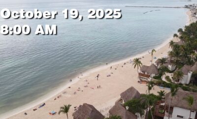 Daily Sargassum Sargasso Seaweed Report at Playa del Carmen, Mexico October 19, 2025