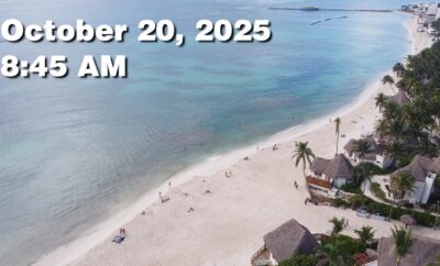 Daily Sargassum Sargasso Seaweed Report at Playa del Carmen, Mexico October 20, 2025