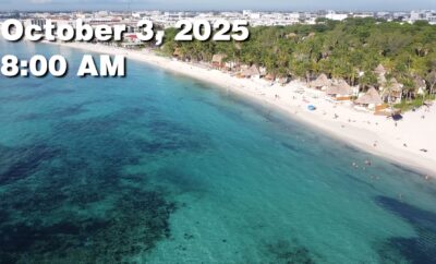 Daily Sargassum Sargasso Seaweed Report at Playa del Carmen, Mexico October 3, 2025