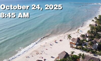 Daily Sargassum Sargasso Seaweed Report at Playa del Carmen, Mexico October 24, 2025