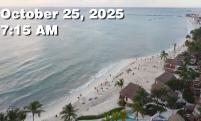 Daily Sargassum Sargasso Seaweed Report at Playa del Carmen, Mexico October 25, 2025