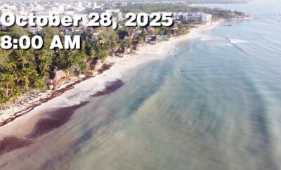 Daily Sargassum Sargasso Seaweed Report at Playa del Carmen, Mexico October 28, 2025