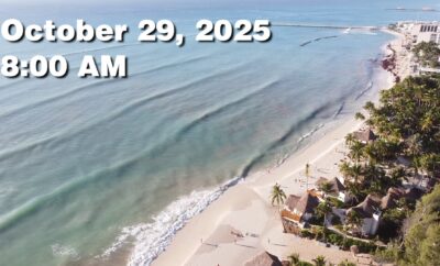 Daily Sargassum Sargasso Seaweed Report at Playa del Carmen, Mexico October 29, 2025
