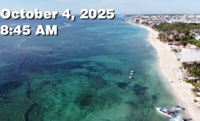 Daily Sargassum Sargasso Seaweed Report at Playa del Carmen, Mexico October 4, 2025