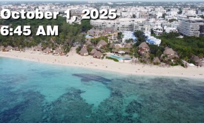 Daily Sargassum Sargasso Seaweed Report at Playa del Carmen, Mexico October 1, 2025
