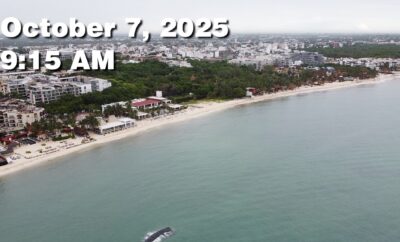 Daily Sargassum Sargasso Seaweed Report at Playa del Carmen, Mexico October 7, 2025