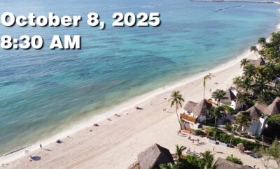 Daily Sargassum Sargasso Seaweed Report at Playa del Carmen, Mexico October 8, 2025