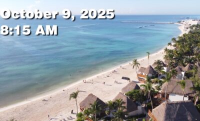 Daily Sargassum Sargasso Seaweed Report at Playa del Carmen, Mexico October 9, 2025