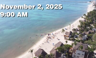 Daily Sargassum Sargasso Seaweed Report at Playa del Carmen, Mexico November 2, 2025