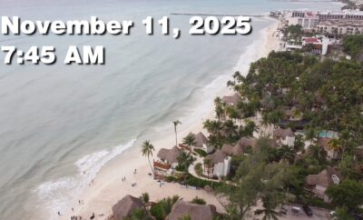 Daily Sargassum Sargasso Seaweed Report at Playa del Carmen, Mexico November 11, 2025