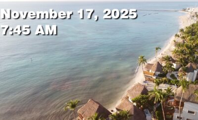 Daily Sargassum Sargasso Seaweed Report at Playa del Carmen, Mexico November 17, 2025
