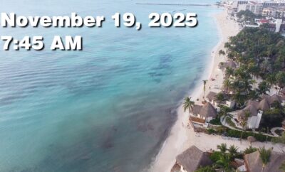 Daily Sargassum Sargasso Seaweed Report at Playa del Carmen, Mexico November 19, 2025