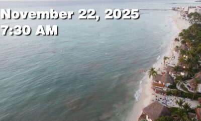 Daily Sargassum Sargasso Seaweed Report at Playa del Carmen, Mexico November 22, 2025