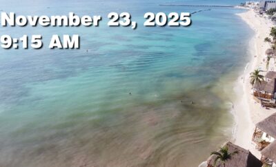 Daily Sargassum Sargasso Seaweed Report at Playa del Carmen, Mexico November 23, 2025