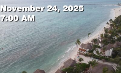 Daily Sargassum Sargasso Seaweed Report at Playa del Carmen, Mexico November 24, 2025