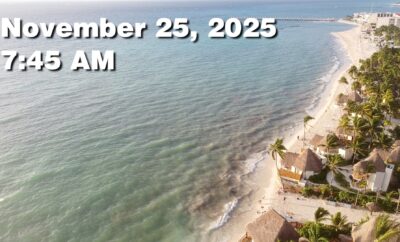Daily Sargassum Sargasso Seaweed Report at Playa del Carmen, Mexico November 25, 2025