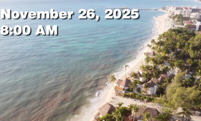 Daily Sargassum Sargasso Seaweed Report at Playa del Carmen, Mexico November 26, 2025