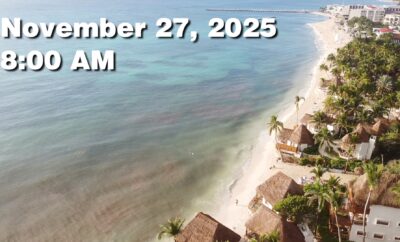 Daily Sargassum Sargasso Seaweed Report at Playa del Carmen, Mexico November 27, 2025