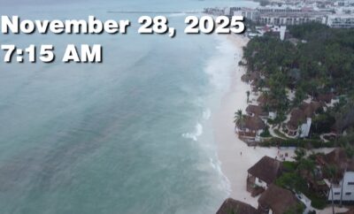 Daily Sargassum Sargasso Seaweed Report at Playa del Carmen, Mexico November 28, 2025