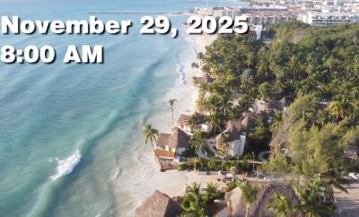Daily Sargassum Sargasso Seaweed Report at Playa del Carmen, Mexico November 29, 2025