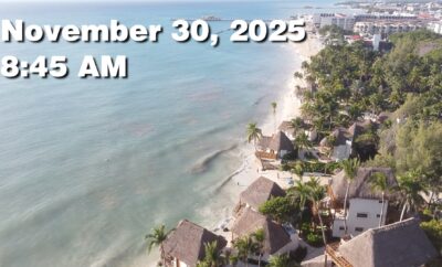 Daily Sargassum Sargasso Seaweed Report at Playa del Carmen, Mexico November 30, 2025
