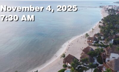 Daily Sargassum Sargasso Seaweed Report at Playa del Carmen, Mexico November 4, 2025