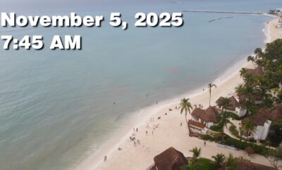 Daily Sargassum Sargasso Seaweed Report at Playa del Carmen, Mexico November 5, 2025