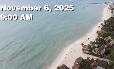 Daily Sargassum Sargasso Seaweed Report at Playa del Carmen, Mexico November 6, 2025