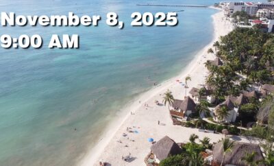 Daily Sargassum Sargasso Seaweed Report at Playa del Carmen, Mexico November 8, 2025