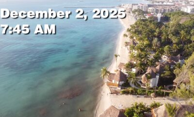 Daily Sargassum Sargasso Seaweed Report at Playa del Carmen, Mexico December 2, 2025